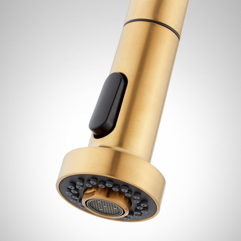 Ridgeway Pull-Down Kitchen Faucet with Deck Plate- Brushed Gold, Brushed Gold