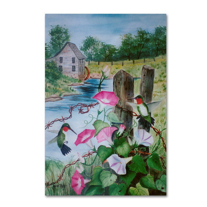 «Dugazon Hummingbirds» par Arie Reinhardt Taylor, reproduction d'art sur toile tendue, H 19 po x l 12 po