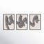 Menton Linework by Studio M - 3 Piece Picture Frame Print Set-86655991-86656010