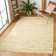 Burkett Rug Hand Woven Cotton Abstract Rug