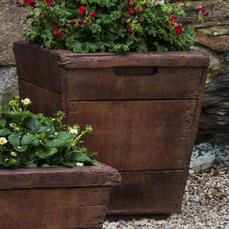 Vendange Planter, Pietra Vecchia