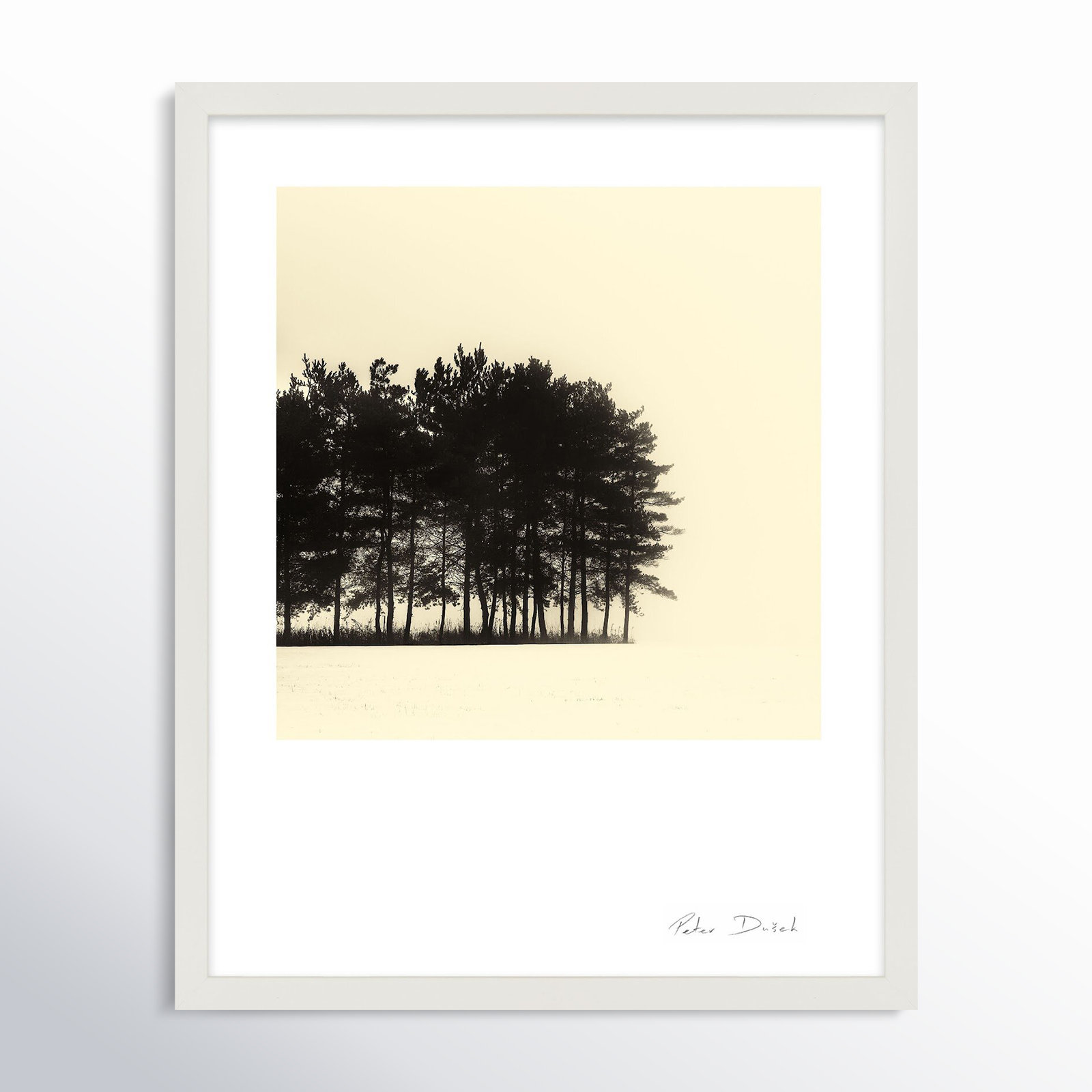 Garden Sign "Copse" Print by Peter Dušek, White, 50" H x 40" W x 1.25" D
