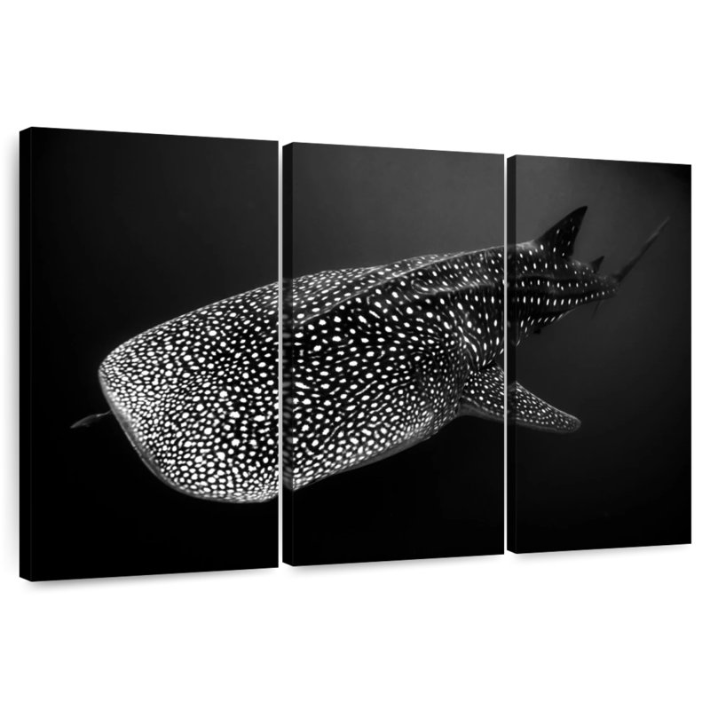 Brampt Monochrome Spotted Whale Shark, 48" H x 74" W