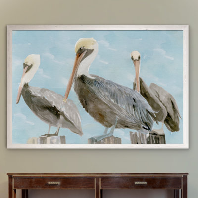 " Soft Brown Pelican III "