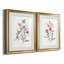 Lin Botanique Corail III - Étude nautique antique, encadrée sous verre acrylique, lot de 2, décoration murale côtière pour salon-1828045338-1828045339-1828045340