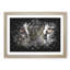 Eye Of The Tiger Paint Splash - Picture Frame Graphic Art-56915757-56915756