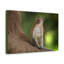 No Frame Print on Canvas