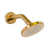 Brushed Gold