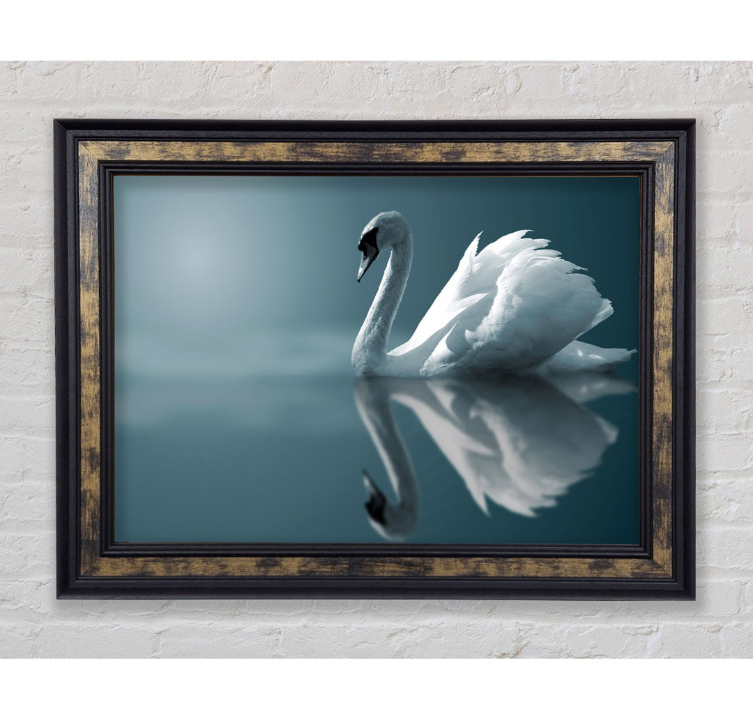 Swan Reflections - Einzelner Bilderrahmen Kunstdrucke