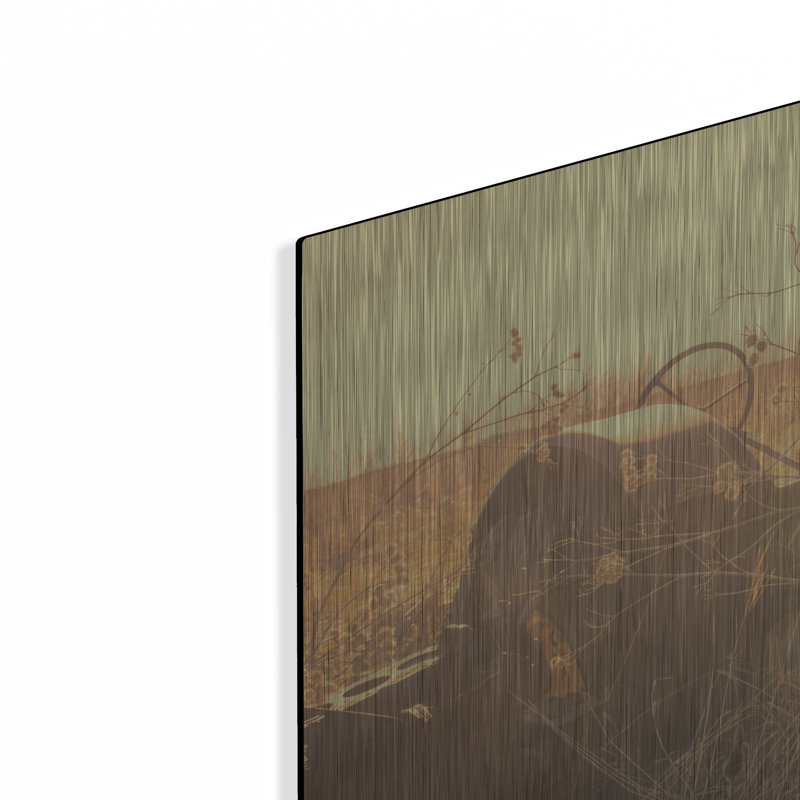 Art mural en métal Lark Manor ™ «Lost Farmstead On The Prairie 041» par Gordon Semmens, H 24 po x l 36 po