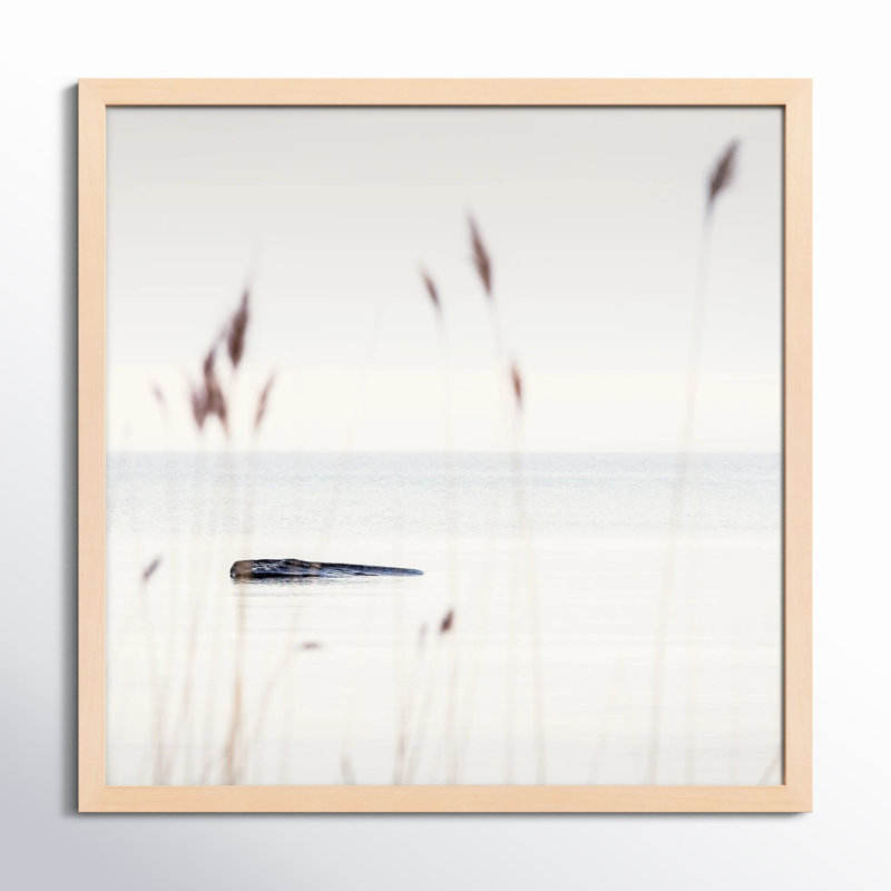 Georgian Bay Shore Print by Peter Dušek, Brown, 44" H x 44" W x 1.25" D