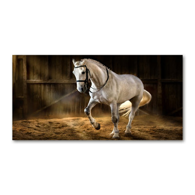 White Horse in the Stable 1 Piece Wrapped Canvas Wall Art