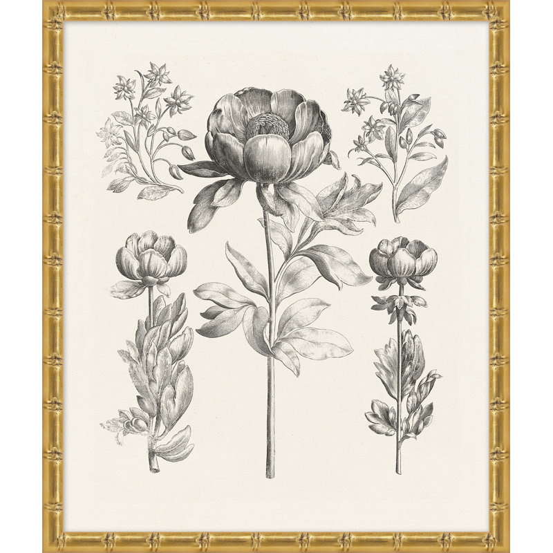 Bessler Study Neutral, impression encadrée sur verre 4 pi