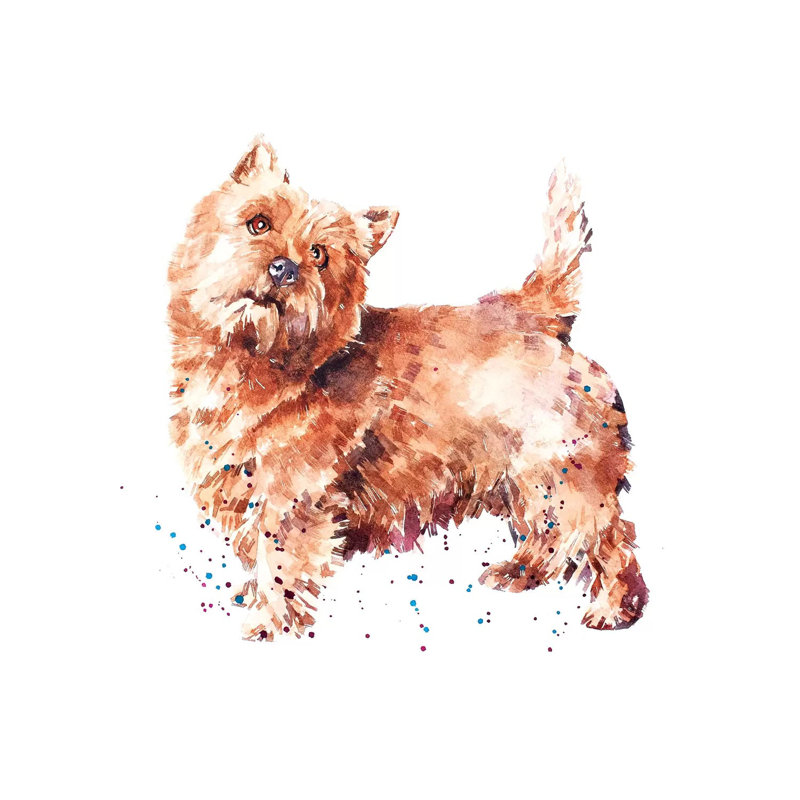Norwich Terrier - Painting on Canvas, 45.72 cm H x 45.72 cm W x 1.91 cm D, Wrapped Canvas