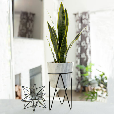 21'' Faux Snake Plant (Sansevieria) Plant in Stone Planter
