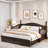 Elegant Extendable Anelma Daybed With Two Storage Drawers And Twin Size Trundle-1159502414