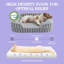 Lit pour chien Lesure, lit orthopédique imperméable pour animaux de compagnie avec côtés, fond antidérapant à haut dossier et canapé en mousse pour caisse d'œufs avec housse amovible et lavable-121145531-121145532