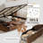 Lift Up Storage Platform Bed Frame with Large Storage Space-345666179-345666178