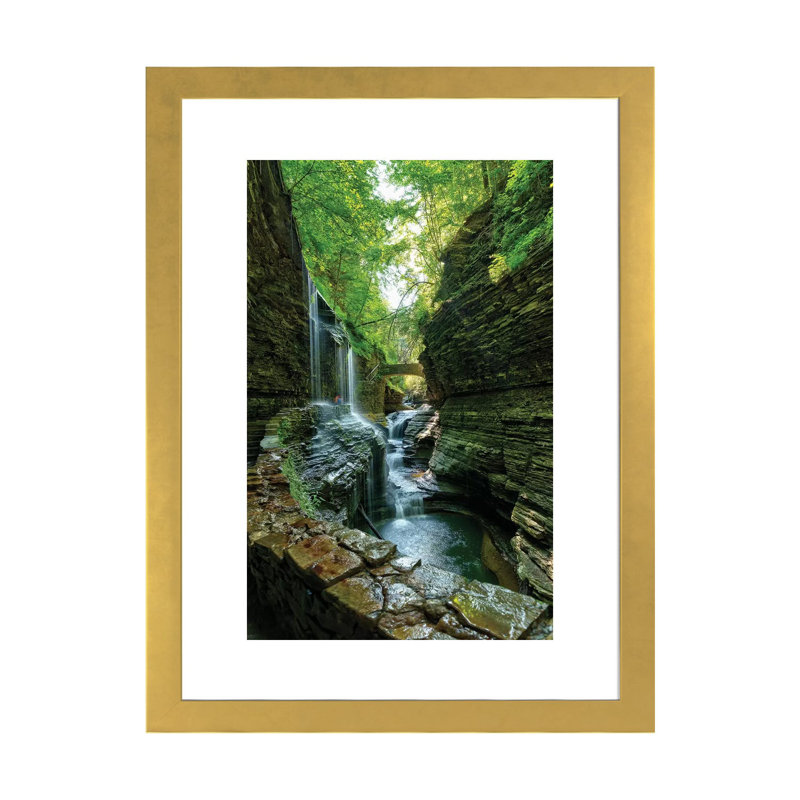 «Rickets Glen» par David Gardiner - reproduction de photo, H 24 po x l 16 po x P 1 po, Papier encadré doré, Blanc