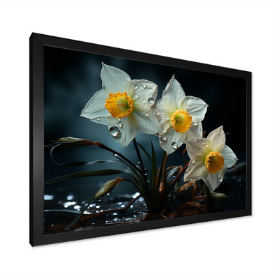 " Dewy Daffodils At Sunrise I "
