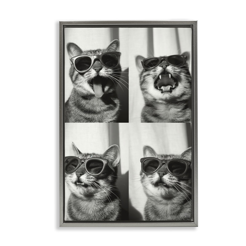 Toile flottante encadrée de chat de style Photobooth par Roozbeh Bahramali, H 31 po x l 21 po, Cadre flottant gris lustré