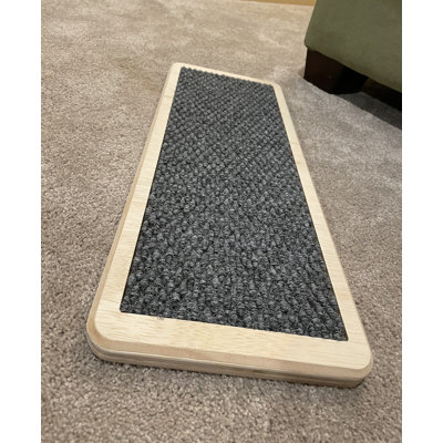 Songer Scratching Post