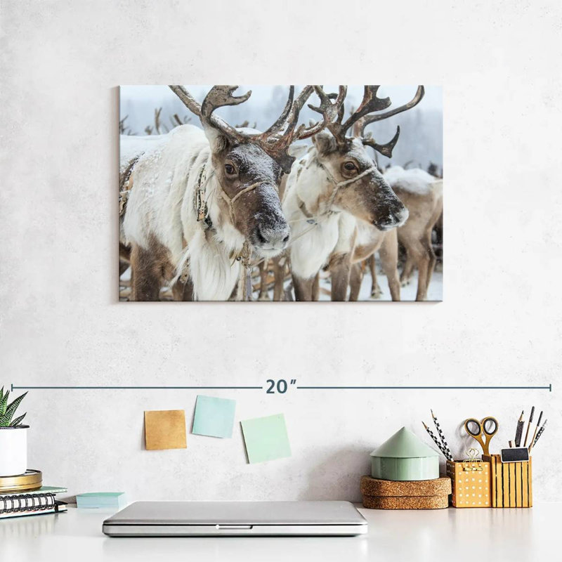 Snow Reindeer, 8" H x 12" W