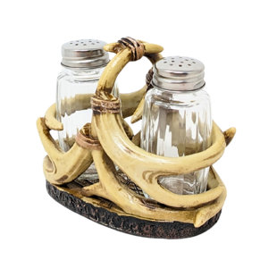 Ensemble de salière et poivrière en résine avec porte-faux shaker en verre style chalet rustique