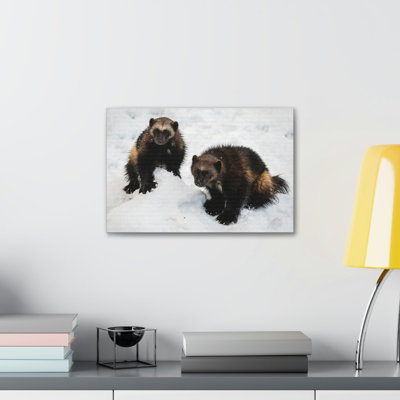 «Wolverine Couple Wolverine Couple», art mural animal