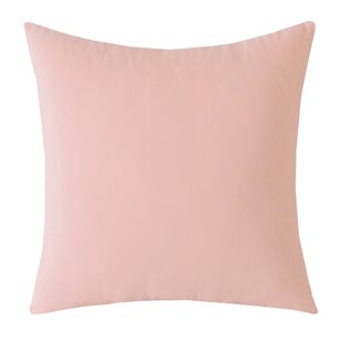 https://assets.wfcdn.com/im/12026035/resize-h310-w310%5Ecompr-r85/1604/160443925/bunnie-velvet-throw-pillow.jpg