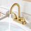 Centerset 2-handle Bathroom Faucet with Drain Assembly-55809706