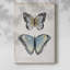 Papillons rétro II - Cavas enveloppés de galerie-1732132249