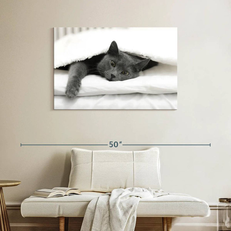 Chat paresseux Brampt, H 26 po x l 39 po