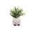 3.75'' Faux Eucalyptus Plant in Ceramic Pot