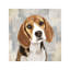 Beagle 1 Piece Wrapped Canvas Wall Art-50001930