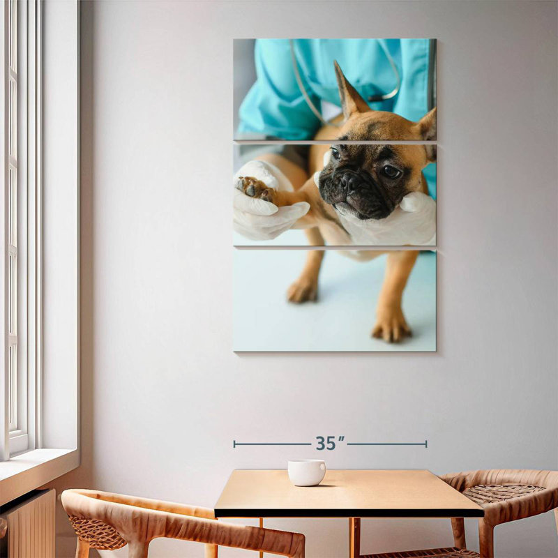 Pet Care, 65" H x 42" W
