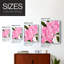 Reproduction encadrée néon rose poinsettias II - bois massif-853895763-853895760