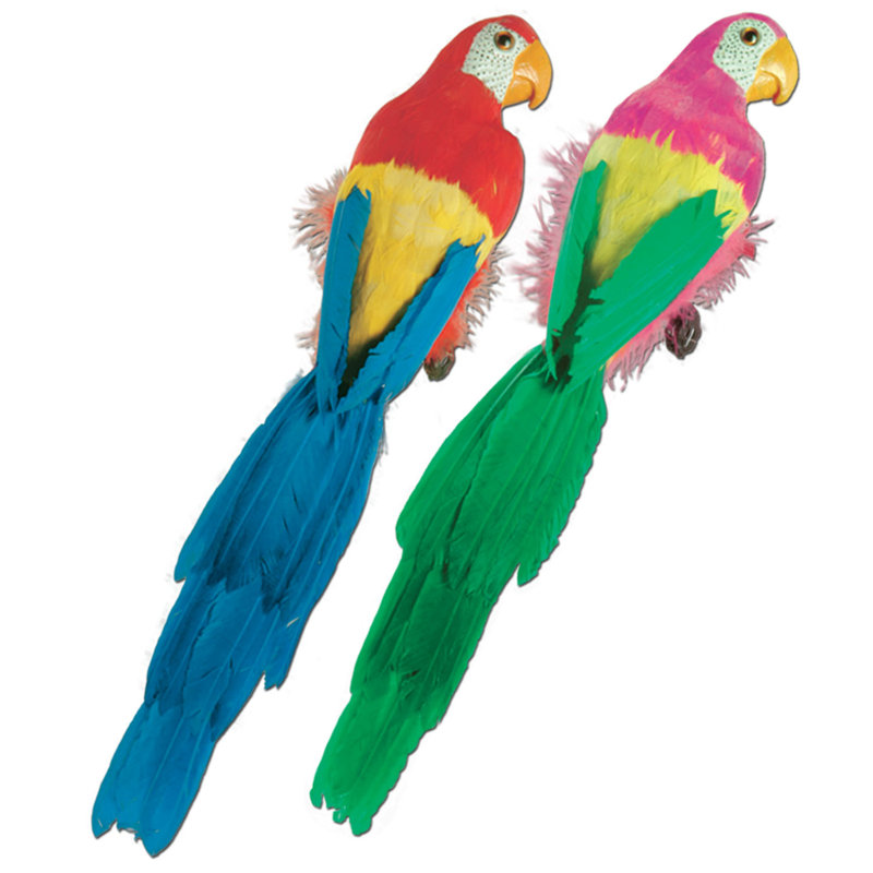 Perroquets tropicaux - 20 po - paquet de 6