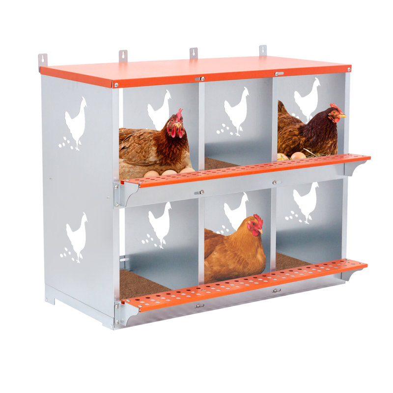 Boîte de nidification en métal à 6 compartiments pour poules / canards avec nichoir, fixation murale facile et fabrication durable