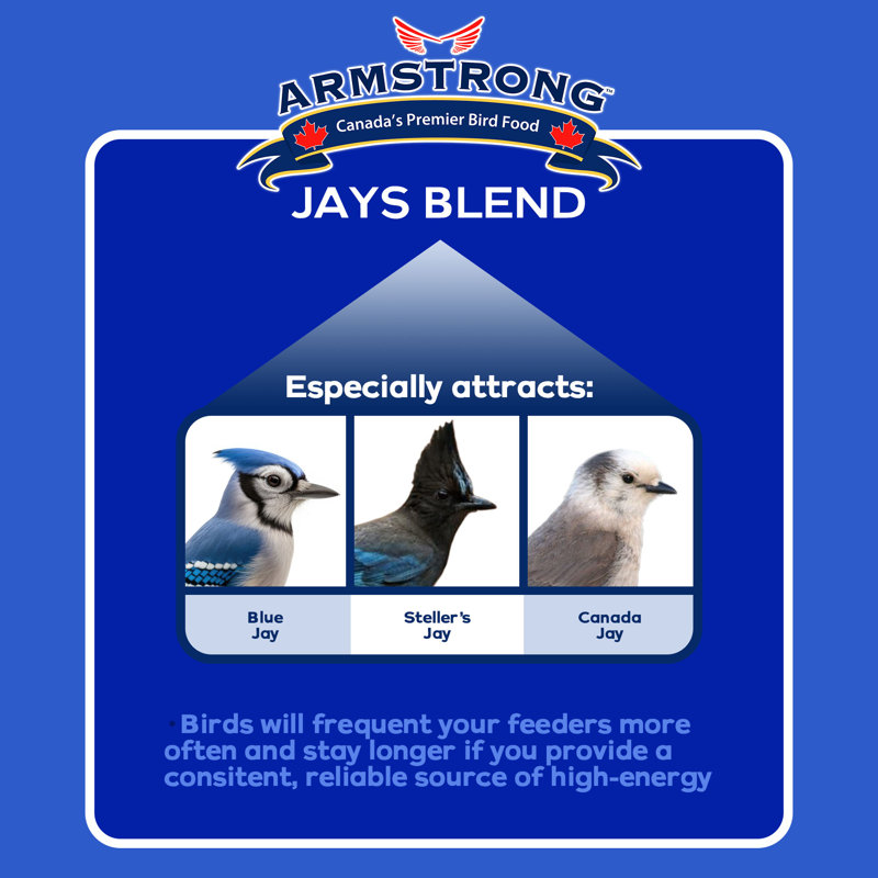 Bird Seed