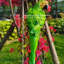 Ceramic Garden Statue-1075531160