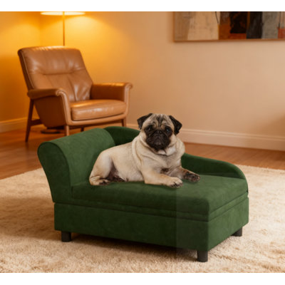 Canapé-lit pour animaux de compagnie avec rangement et coussin
