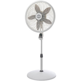 Ventilateur oscillant à piédestal