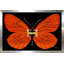 «Hermes Butterfly (Horizontal)» par Jodi - impression-189956657-189956670