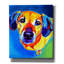 «Dachshund - Maisie» par Dawg Painter-709930290