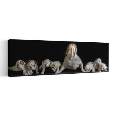 Mama Bulldog And Pups 1 Piece Wrapped Canvas Panoramic Wall Art