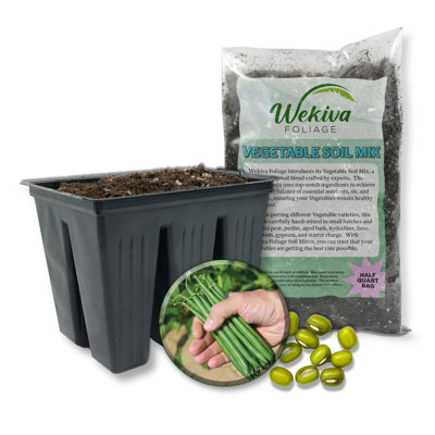 Aldrin Green Bean Seed Starter Kit - Green Bean Seeds with Tray Liner and Half Quart Vegetable Soil - Grow Your Own Vegetables