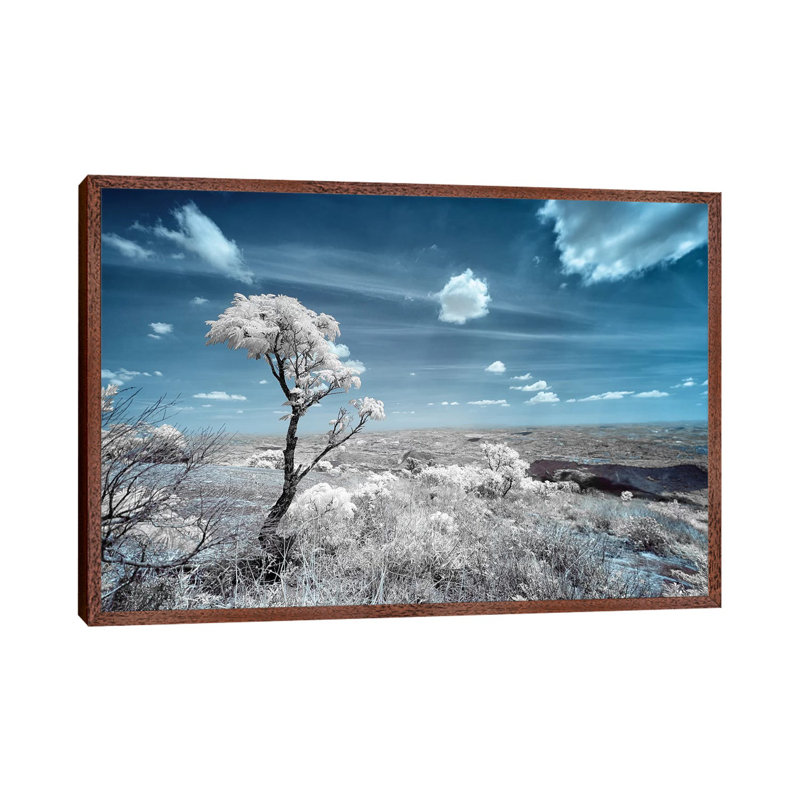 Discover - Sao Paulo, Brazil by Glauco Meneghelli - Print on Canvas, Classic Brown Wood Framed, 66.04 cm H x 45.72 cm W