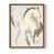 Noyer