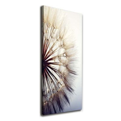 Dandelion - Wrapped Canvas Print